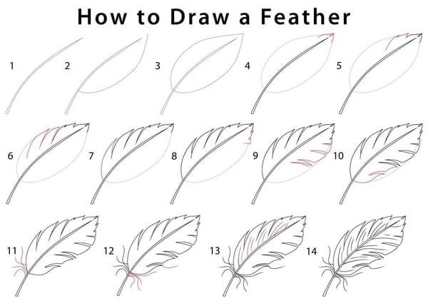 Image of how to draw a feather