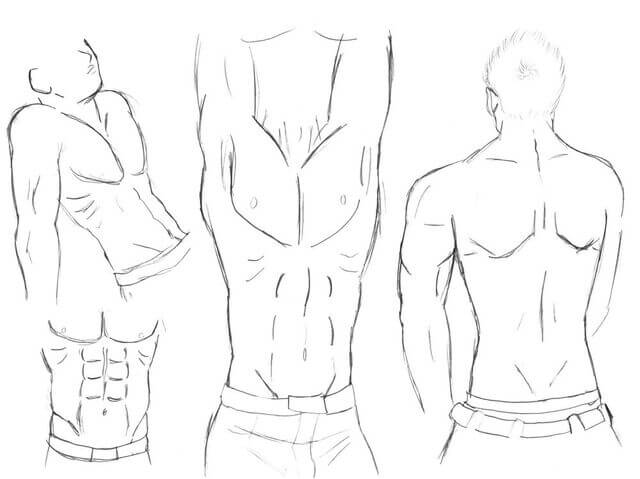 male body drawing
